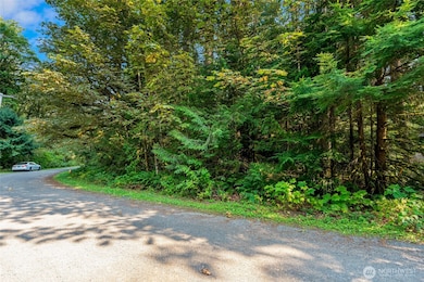 75601 NE 122nd St, Skykomish, WA 98288 - photo 5