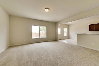 22411 Bauer Canyon Dr, Hockley, TX 77447 - photo 2