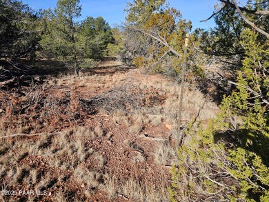 54892 N Potrero Ln, Seligman, AZ 86337 - photo 4