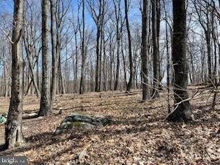 12629 Mountainhouse Ln, Hillsboro, VA 20132 - photo 3