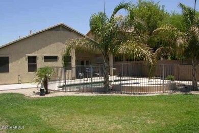 back yard