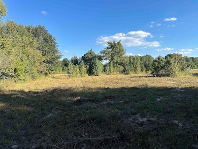 TBD County Road 3701, Murchison, TX 75778 - photo 2