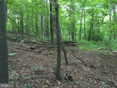 0 Mountain Rd unit 1000714757, Purcellville, VA 20132 - photo 6