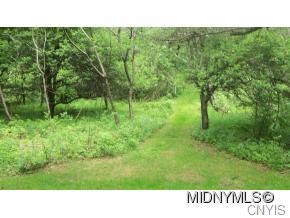 mowed trails / 4 + acres