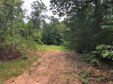 Lot 233 Deer Run, Purlear, NC 28665 - photo 4