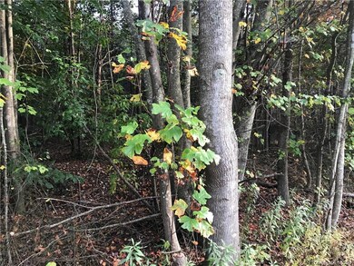 00 Wilkesboro Hwy, Statesville, NC 28625 - photo 6