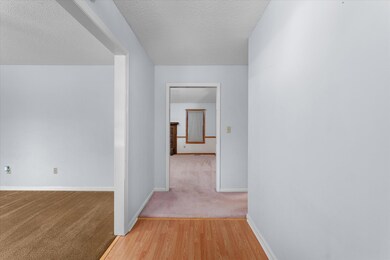12-PS528073