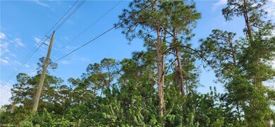 18th Ave Ave NE, Naples, FL 34120 - photo 3