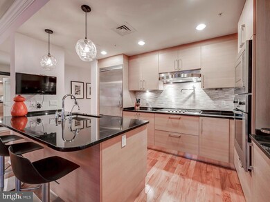 The Ritz-Carlton Residences, Baltimore, MD 21230 - photo 7