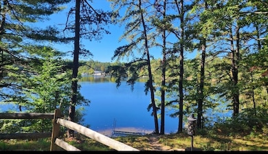 Seller image of lake in 2024