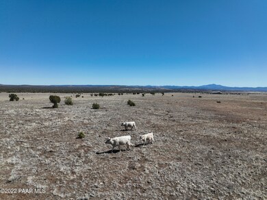 Lot 99 Juniperwood Ranch Rd, Ash Fork, AZ 86320 - photo 4