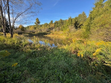 4380 New York 80, Columbus, NY 13460 - photo 6