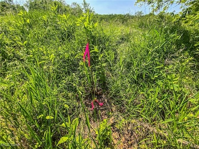 0 Dolezal Rd, Dillonvale, OH 43943 - photo 7