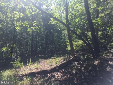 0 Stumpy Ln unit PAFL2031674, Fort Loudon, PA 17224 - photo 4