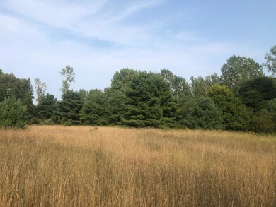 IMG_0629
