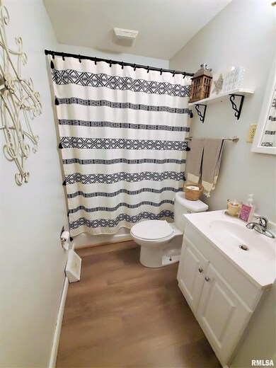 2414 W 13th St, Davenport, IA 52804 - photo 7