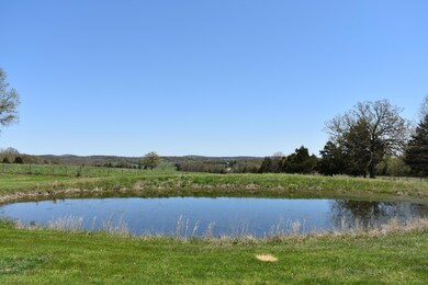 DSC_0466