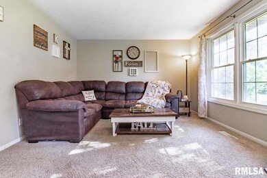 4504 N Carola Ct, Peoria, IL 61615 - photo 5