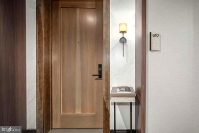 Ritz-Carlton Residences unit 610, Chevy Chase, MD 20815 - photo 4