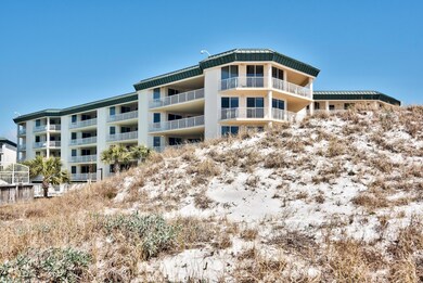 Dunes of Seagrove stuff _13