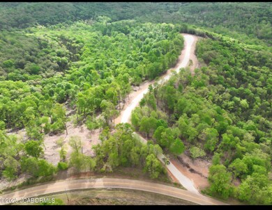 Lot 3 State Aa Rd, Roach, MO 65787 - photo 4