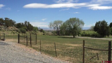 0 Ward Creek Rd unit 769858, Cedaredge, CO 81413 - photo 6