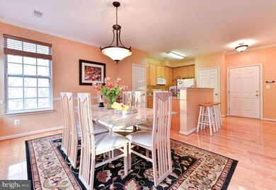 2665 Manhattan Place unit 301, Vienna, VA 22180 - photo 6