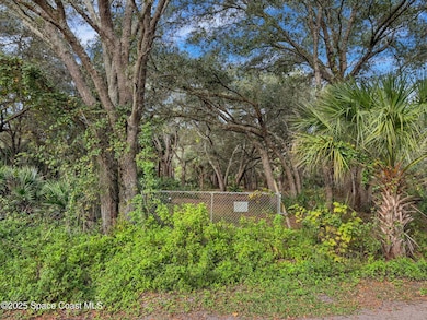 01 Bear Trail, West Canaveral Groves, FL 32926 - photo 3