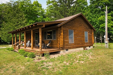 10844 Torch Light Ln, Central Lake, MI 49622 - photo 5