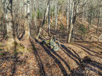 TBD Ladys Fern Trail unit 10, Laurel Park, NC 28739 - photo 7