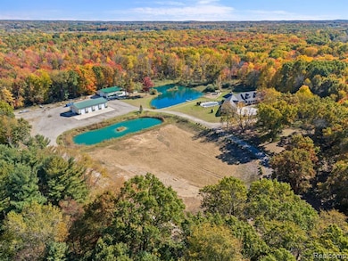Aerial view of a forest and a nearby body of water
