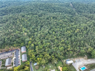 Tbd Redwood Ln, Noel, MO 64854 - photo 3