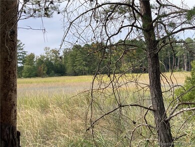 View of nature