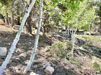 930 E Appaloosa Dr, Duck Creek Village, UT 84762 - photo 4