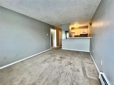 1064 Chambers Ct unit 207, Aurora, CO 80011 - photo 2