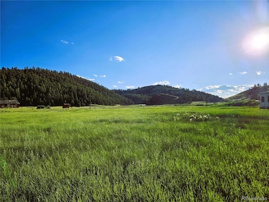 PCS# 4519 & 4520 Colorado 24, Hartsel, CO 80449 - photo 7