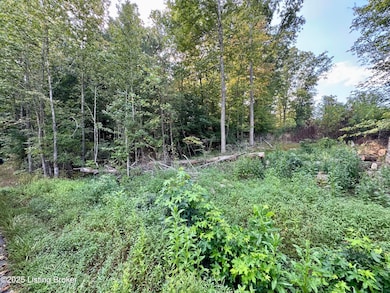 45 Clear Creek Dr, Boston, KY 40107 - photo 4