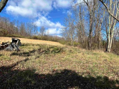 TBD Planing Mill St, Belington, WV 26250 - photo 5