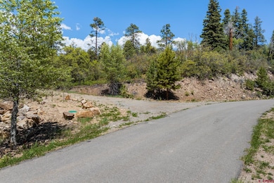 2511 Taylor Ranch Rd, Durango, CO 81301 - photo 4