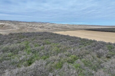 0 I- 5, Cantua Creek, CA 93608 - photo 3