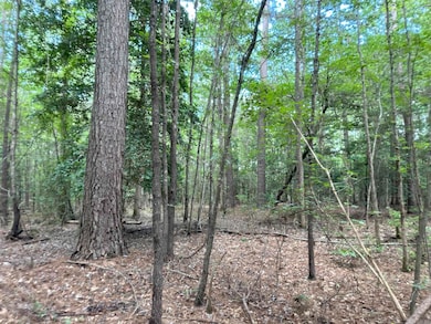 000 Nevada 17 Rd, Rosston, AR 71858 - photo 4