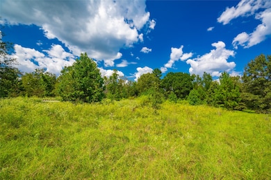 14799 Farm To Market 315, Palestine, TX 75803 - photo 4