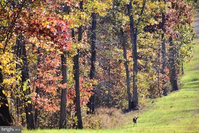 152.44 Acres Lot 2 Laurel Grove Rd, Winchester, VA 22602 - photo 6