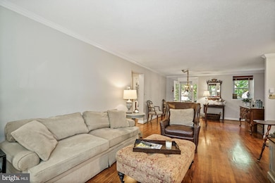 3047 S Columbus St, Arlington, VA 22206 - photo 5