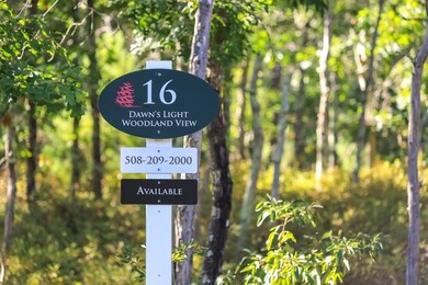 16 Dawn's Light, Plymouth, MA 02360 - photo 3