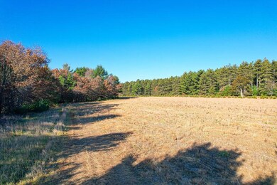 1504 Atom Rd, Lincoln, WI 54666 - photo 2