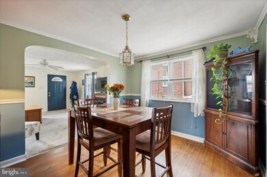 269 Drexel Ave, Lansdowne, PA 19050 - photo 7