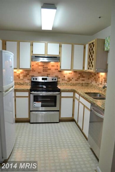 4401 Silverbrook Ln unit B102, Owings Mills, MD 21117 - photo 7