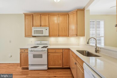 715 Massey Ln unit A, Alexandria, VA 22314 - photo 6