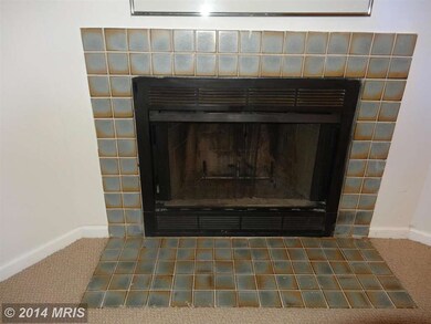 32 Wellspring Cir, Owings Mills, MD 21117 - photo 6